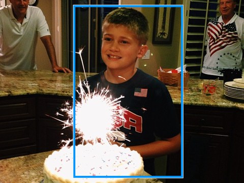 LVIS detection sample with a bounding box.