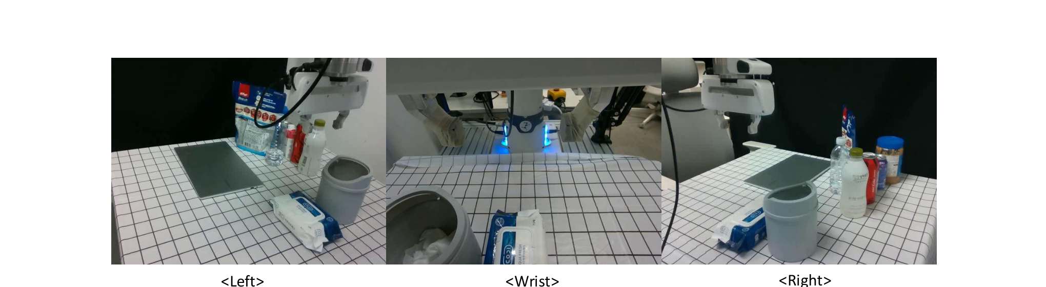 Camera setup: two back-facing cameras observe the user and the desk; a wrist camera provides close-up grasp context.